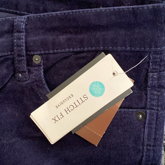 Host Pick 💙 Edyson Hampton Skinny Women’s Corduroy Pants Stitch Fix 33 NWT - Picture 7 of 10